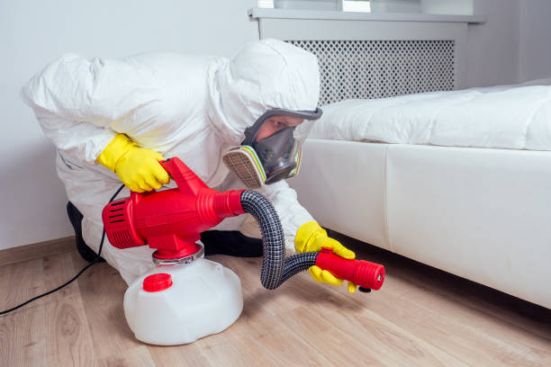 Best Pest Exclusion Services  in Zephyrhills North, FL